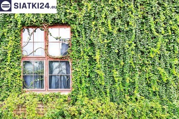Siatki Otwock - Siatka z dużym oczkiem - wsparcie dla roślin pnących na altance, domu i garażu dla terenów Otwocka